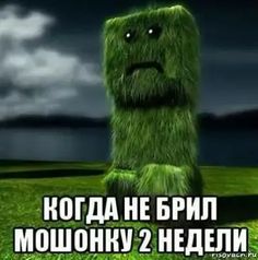 Пин содержит это изображение: Когда не брил мошонку 2 недели