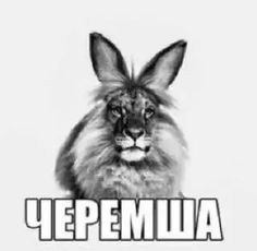 Пин содержит это изображение: ЧЕРЕМША